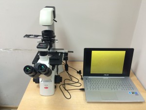 Inverted Microscope